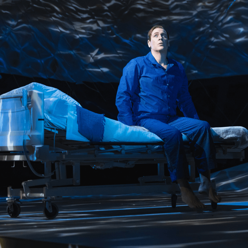 The Diving Bell and the Butterfly